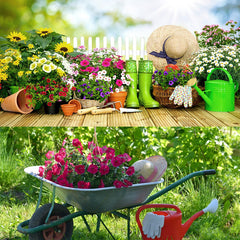 5 Colors Of Seeds,mix Creeping Mixed Climbing Plants,l000pts Family Seeds