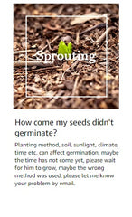 5 Colors Of Seeds,mix Creeping Mixed Climbing Plants,l000pts Family Seeds