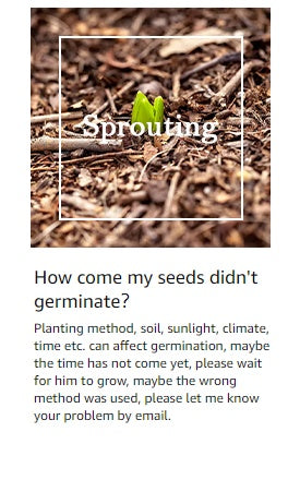 5 Colors Of Seeds,mix Creeping Mixed Climbing Plants,l000pts Family Seeds